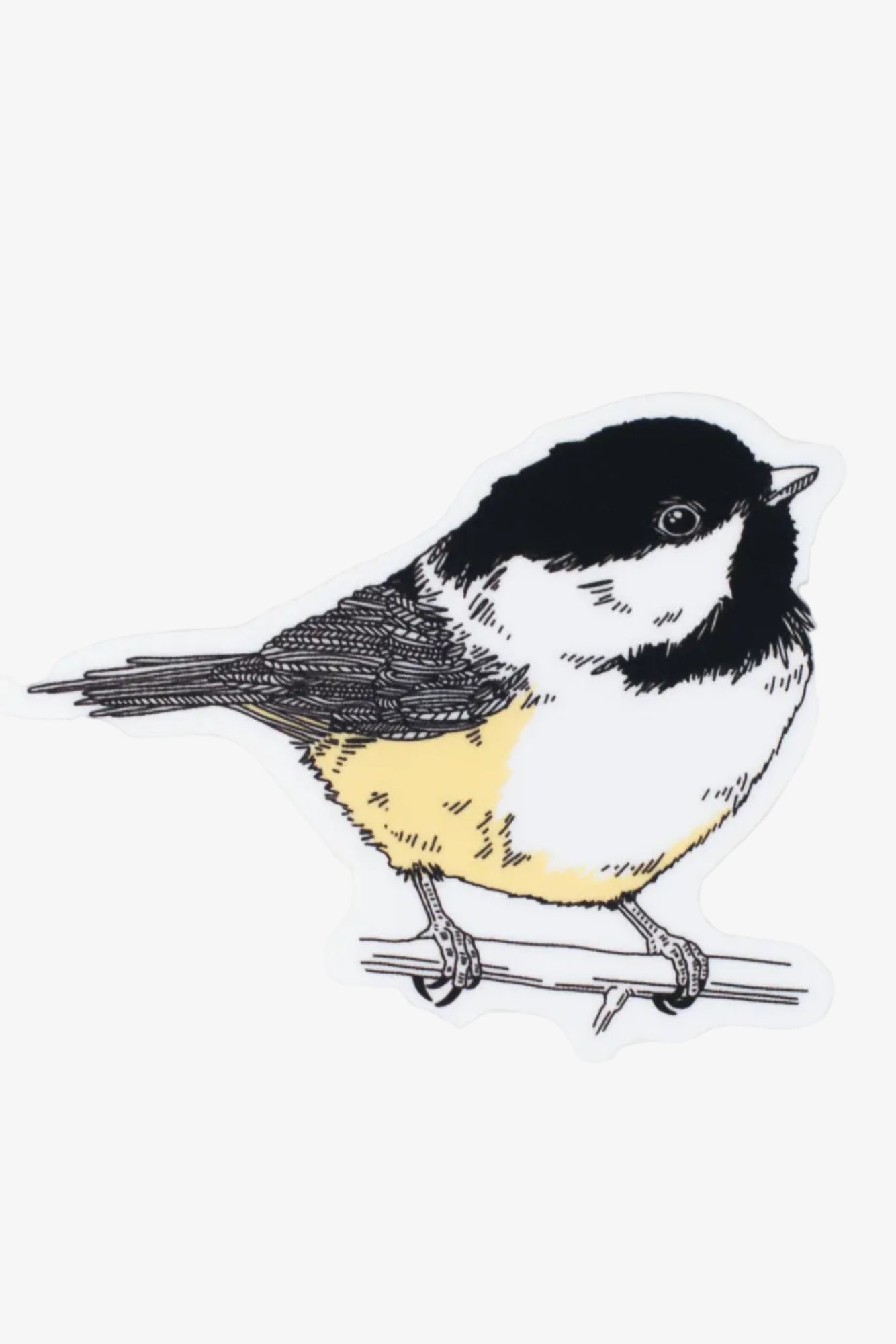 Sticker: Chickadee