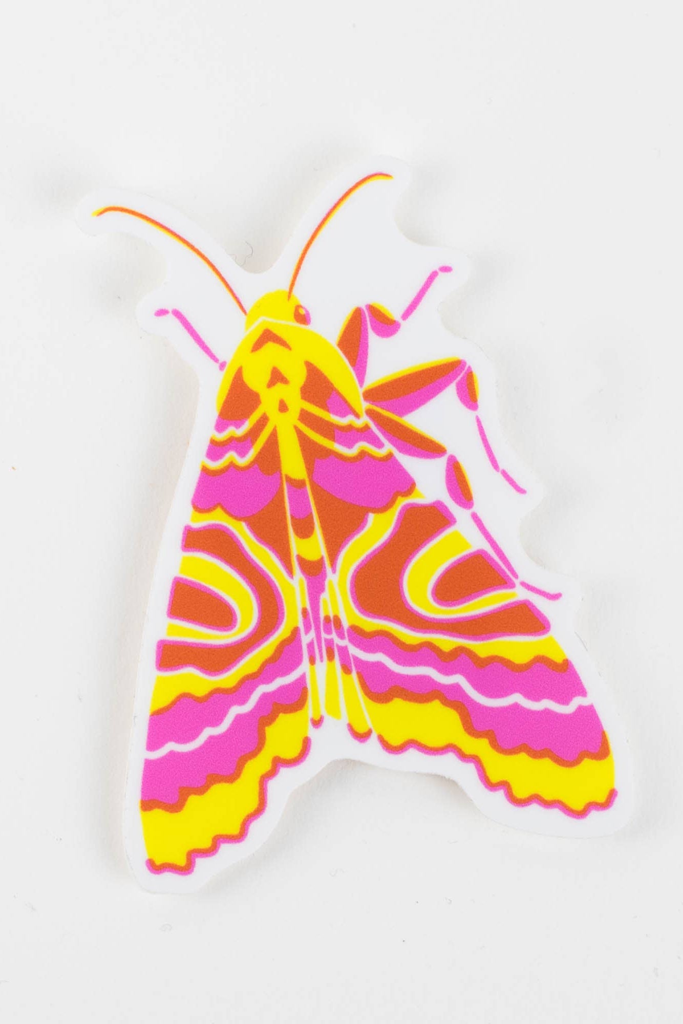 Sticker: Moth