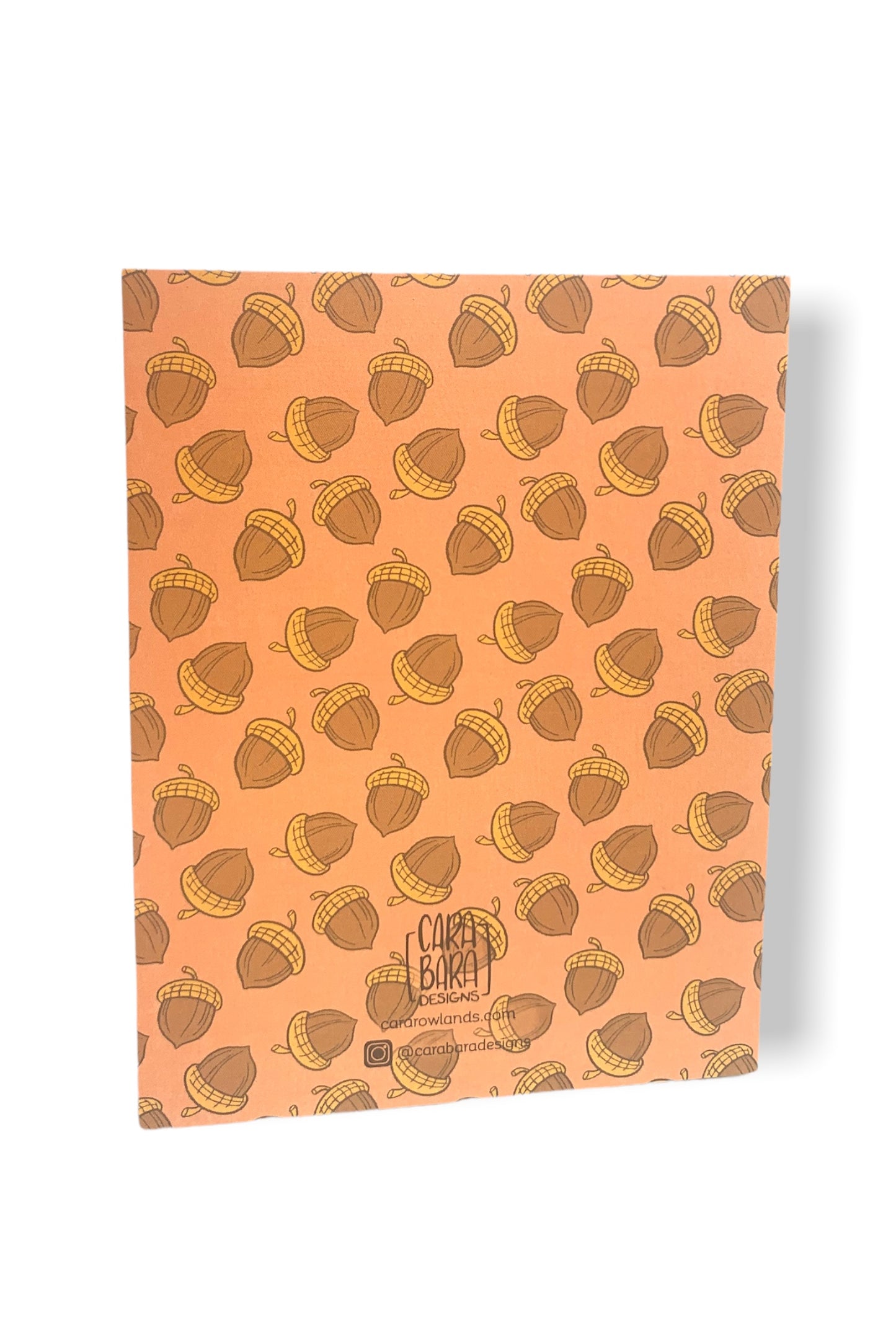 Squirrel Birthday Card