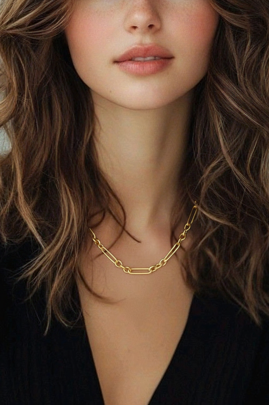 Mixed Link Paperclip Stainless Steel Necklace
