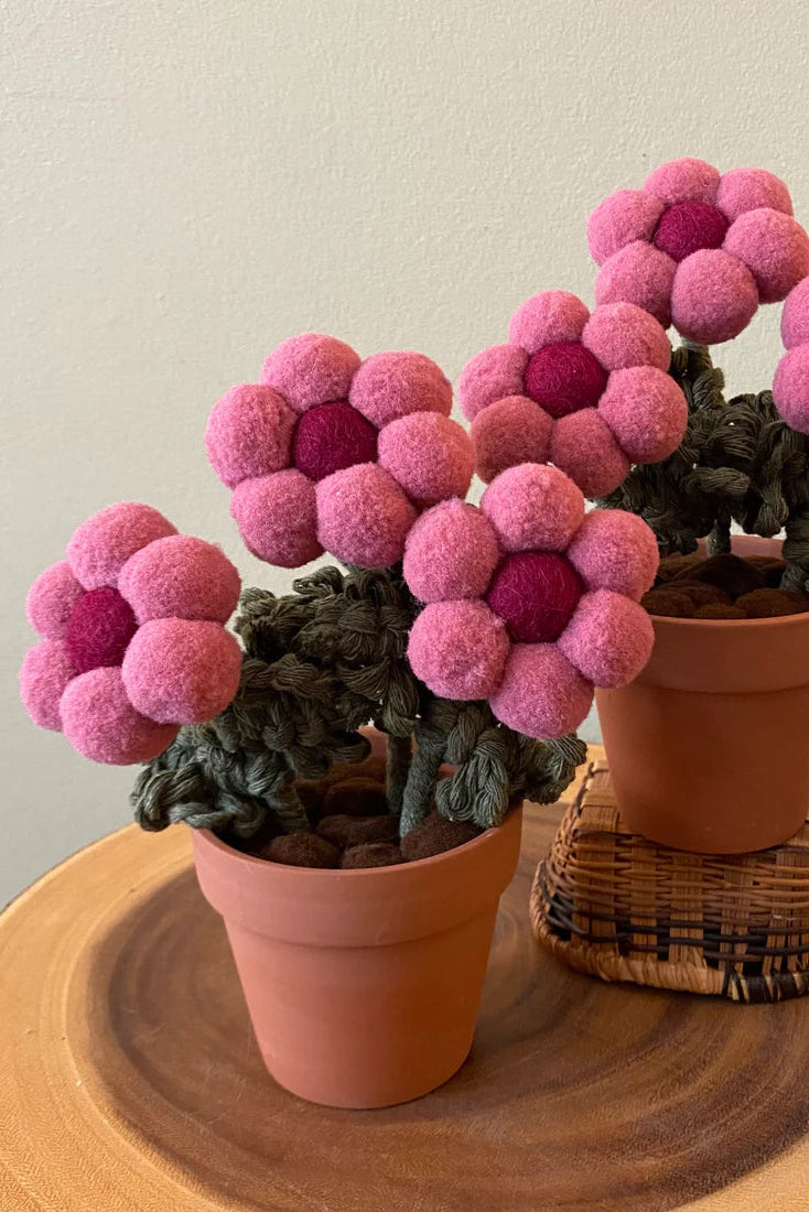 Potted Flower - Triple