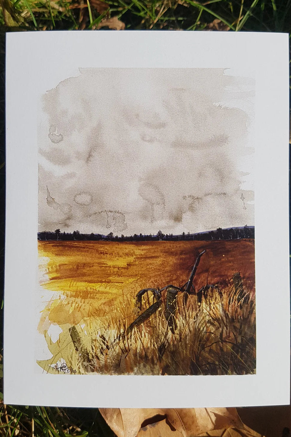 Canadian Landscape Cards