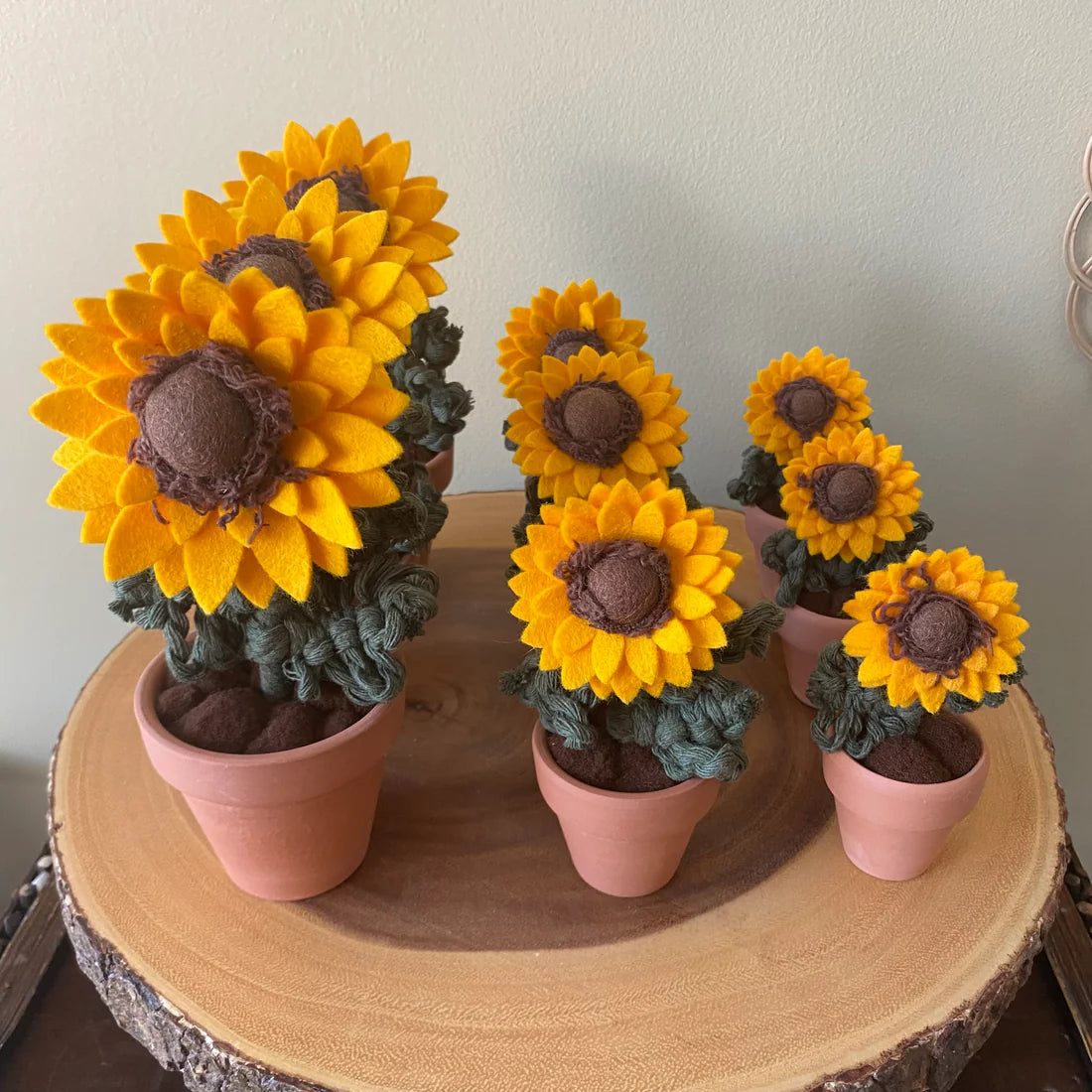 Potted Sunflower