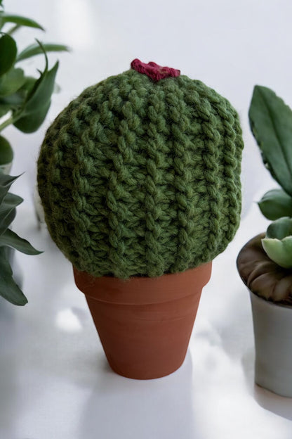 Extra Large Barrel Knit Cactus