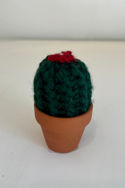 Barrel Knit Cactus