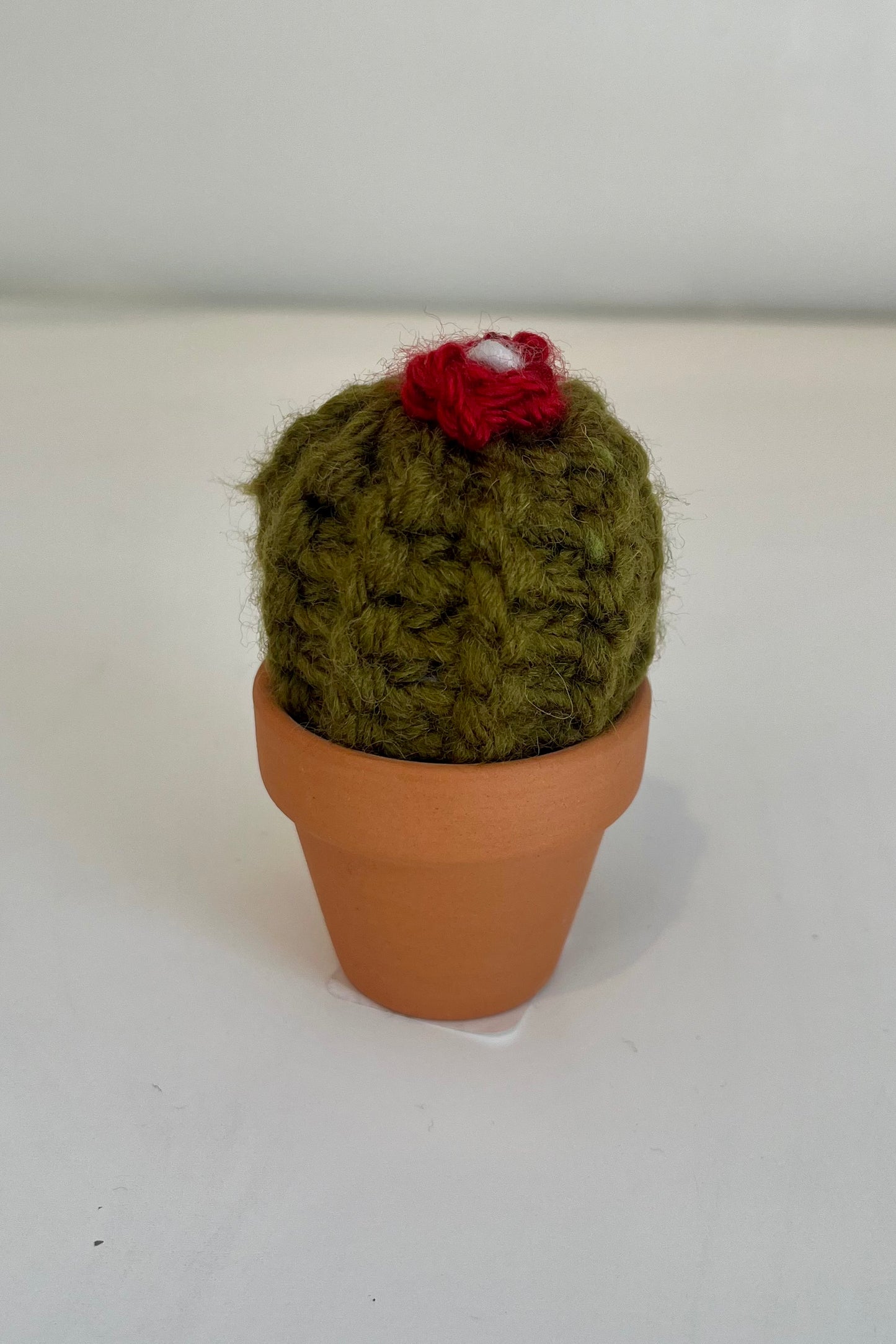 Barrel Knit Cactus