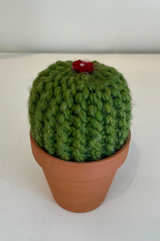 Barrel Knit Cactus