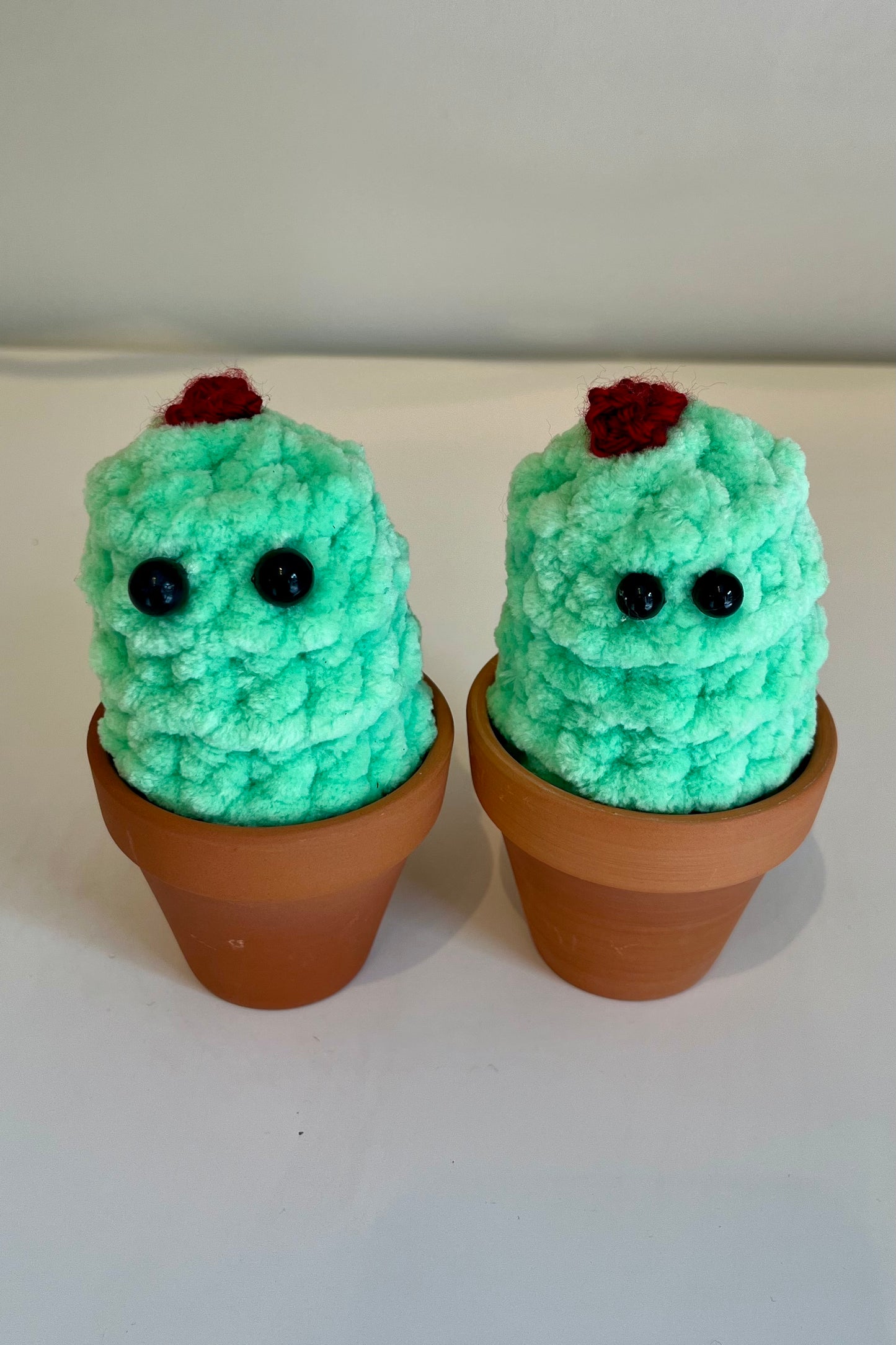 Emotional Support Knit Cactus