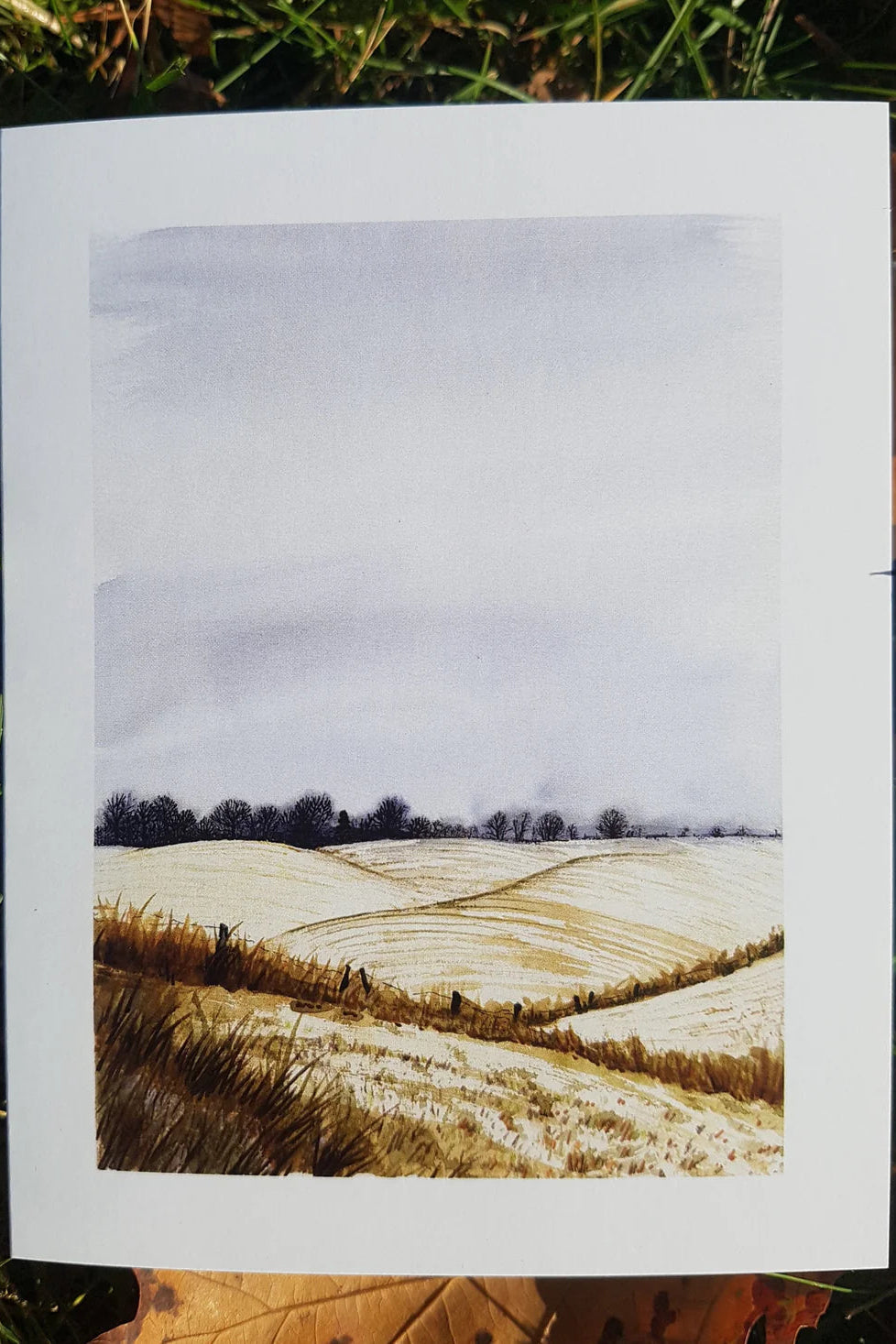 Canadian Landscape Cards