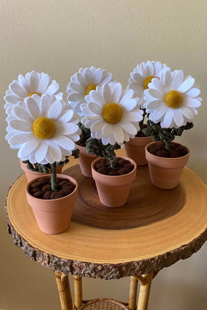 Potted Daisy