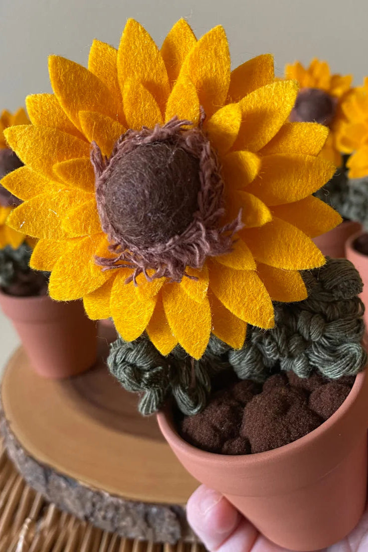 Potted Sunflower