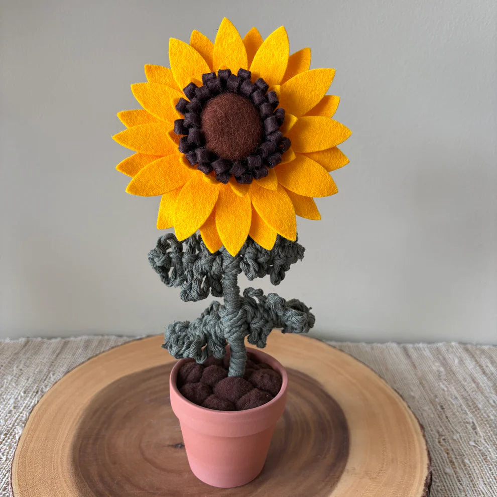 Potted Sunflower